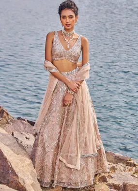 Blush Pink Sequinned Lehenga Set