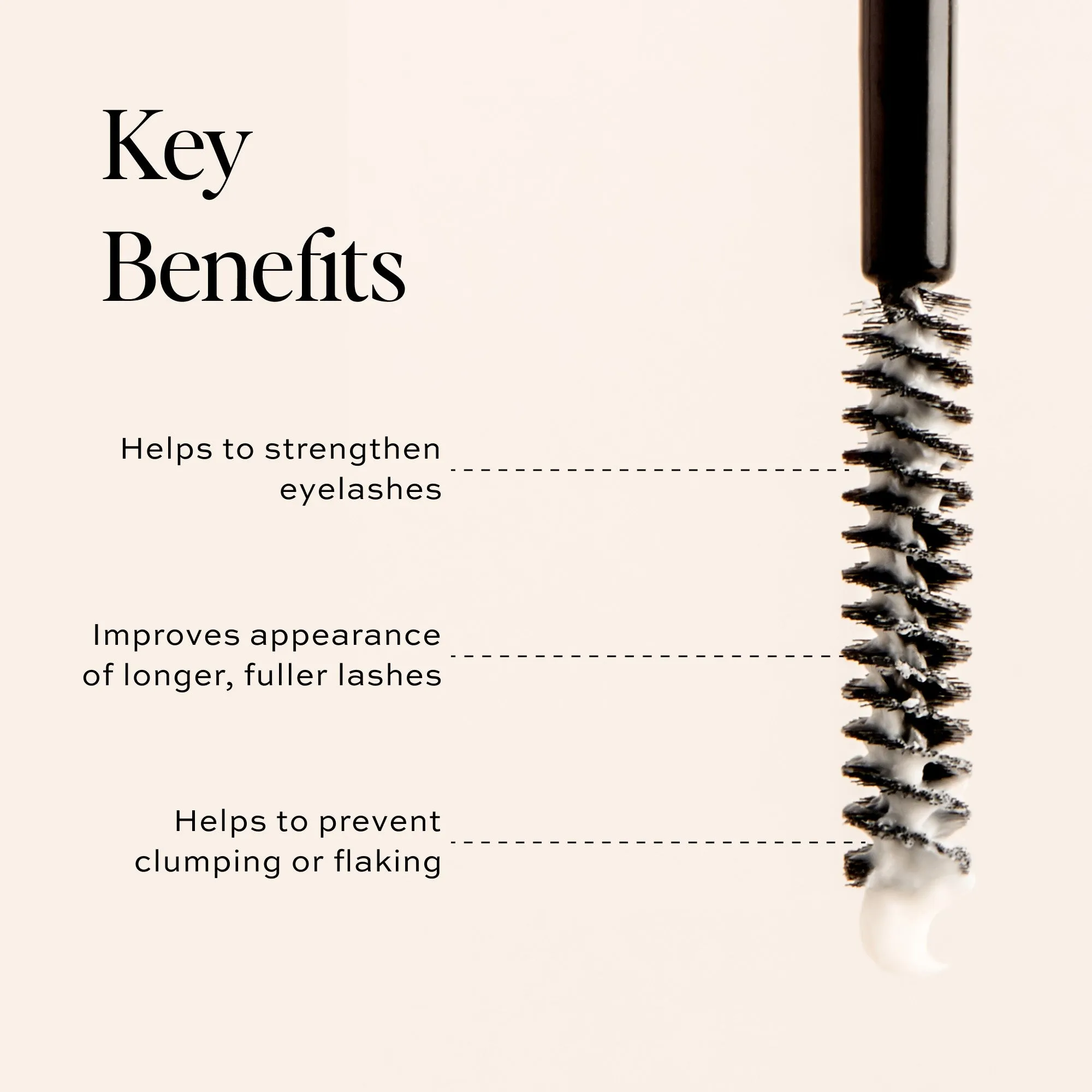 Lash Duo