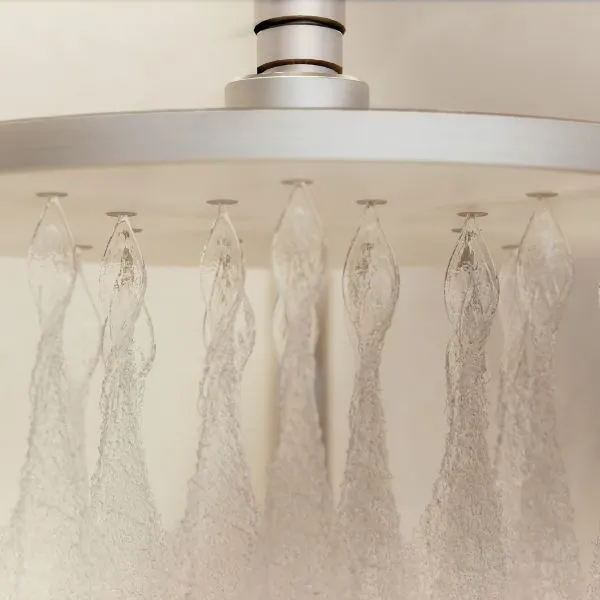 Phoenix Tapware Ormond Twin Rail Shower Brushed Carbon
