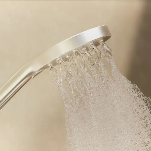 Phoenix Tapware Ormond Twin Rail Shower Brushed Carbon