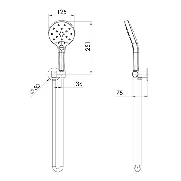 Phoenix Tapware Oxley Hand Shower Brushed Gold